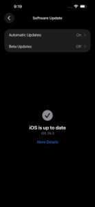 Screenshot showing Software Update screen on iphone