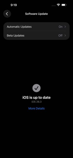 Screenshot showing Software Update screen on iphone