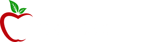 NerdsModo logo