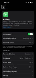 Screenshot showing cellular data settings on iPhone