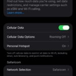 Screenshot showing cellular data settings on iPhone