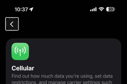 Screenshot showing cellular data settings on iPhone