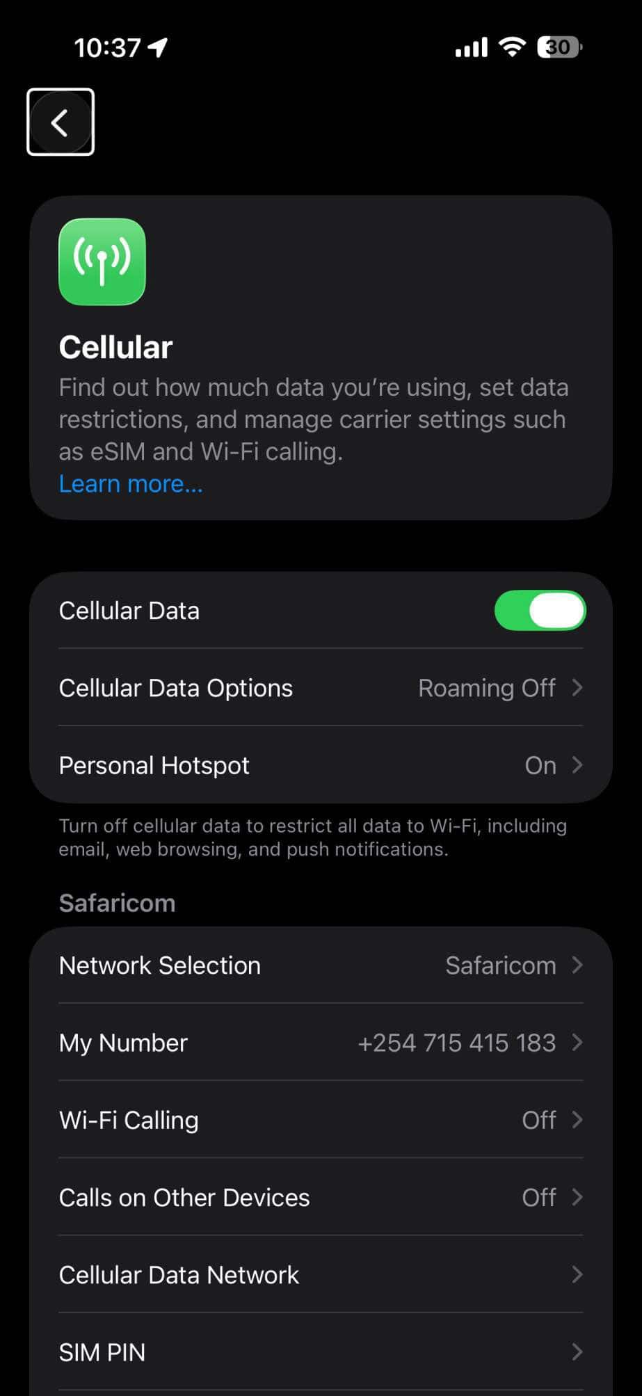 Screenshot showing cellular data settings on iPhone
