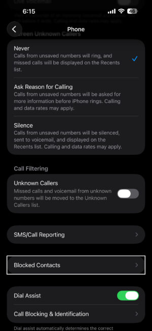 Screenshot showing phone settings on iPhone