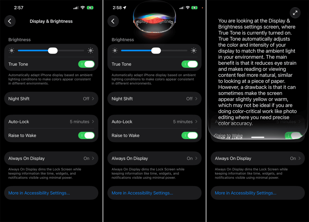 iOS 27 Siri Explain What's On the Screen